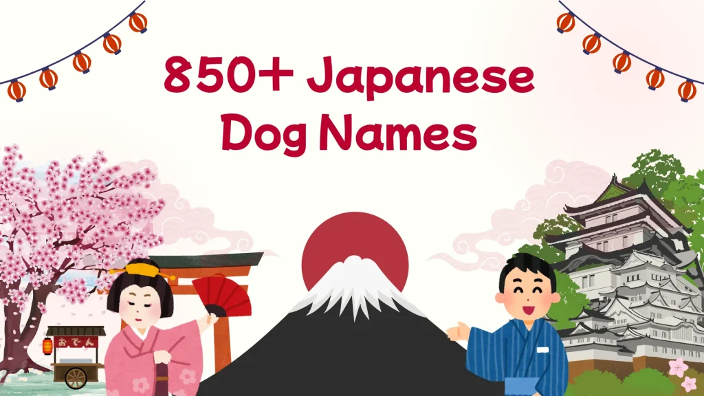 Japanese Dog Names